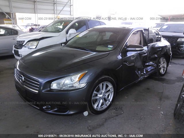 1N4AA5AP5BC840244 - 2011 NISSAN MAXIMA S/SV GRAY photo 2