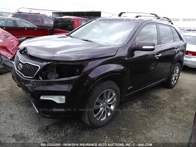 5XYKWDA27CG253684 - 2012 KIA SORENTO SX MAROON photo 2