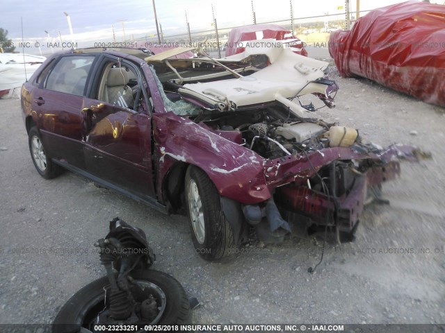 1G1ZT64884F147986 - 2004 CHEVROLET MALIBU MAXX LS BURGUNDY photo 1