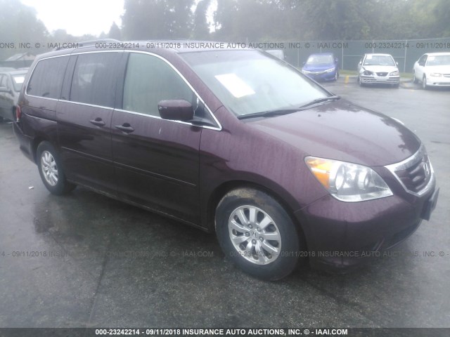 5FNRL3H76AB021021 - 2010 HONDA ODYSSEY EXL MAROON photo 1