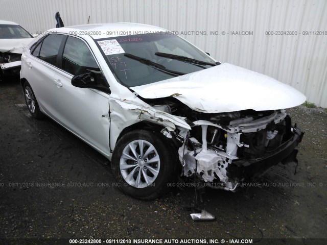4T4BF1FK4GR559710 - 2016 TOYOTA CAMRY LE/XLE/SE/XSE WHITE photo 1