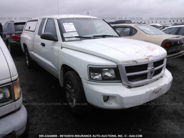 1D7RW3BK6BS676276 - 2011 DODGE DAKOTA SLT WHITE photo 1