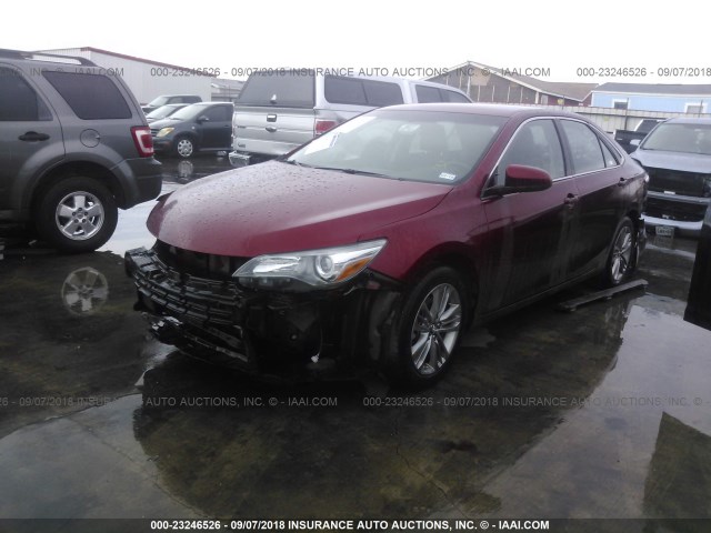 4T1BF1FK6HU732977 - 2017 TOYOTA CAMRY LE/XLE/SE/XSE RED photo 2
