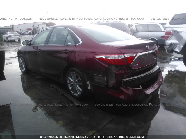 4T1BF1FK6HU732977 - 2017 TOYOTA CAMRY LE/XLE/SE/XSE RED photo 3