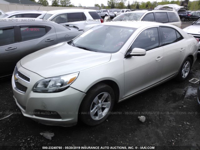 1G11B5SA5DF159495 - 2013 CHEVROLET MALIBU LS GOLD photo 2