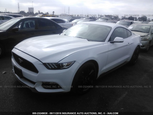 1FA6P8TH4H5306712 - 2017 FORD MUSTANG WHITE photo 2