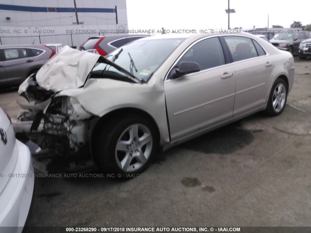 1G1ZB5E13BF388124 - 2011 CHEVROLET MALIBU LS 棕色 照片 2