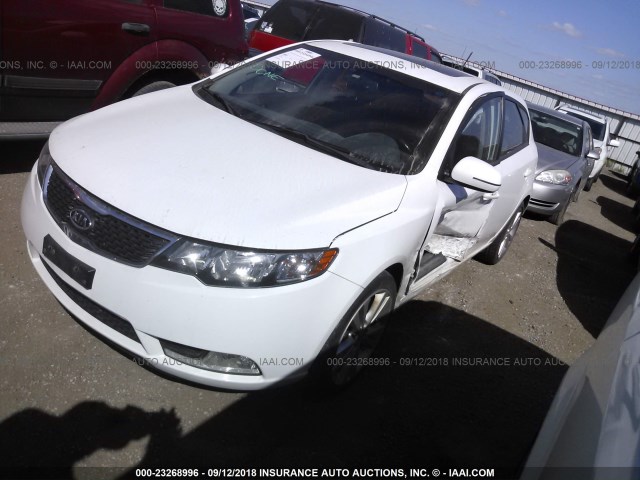 KNAFW5A32D5700655 - 2013 KIA FORTE SX WHITE photo 2