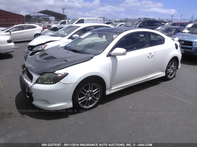 JTKDE167690278372 - 2009 TOYOTA SCION TC 白色 照片 2