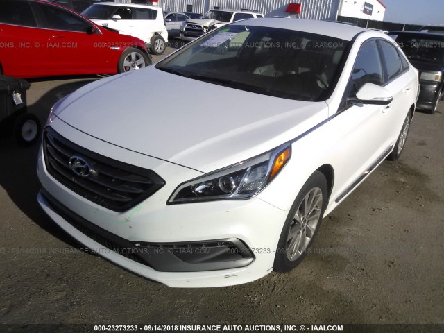 5NPE34AF3FH032704 - 2015 HYUNDAI SONATA SPORT/LIMITED WHITE photo 2