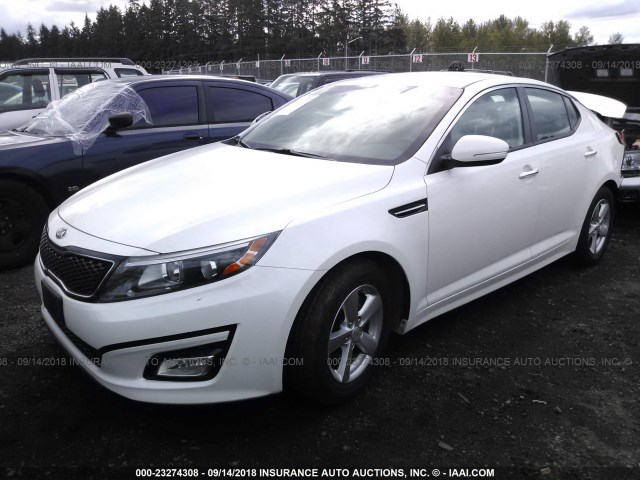 KNAGM4A77F5651821 - 2015 KIA OPTIMA LX WHITE photo 2