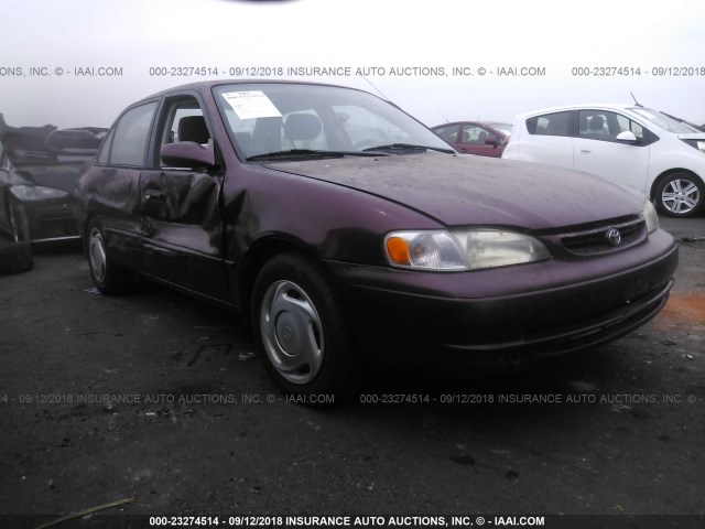 1NXBR18E1WZ101615 - 1998 TOYOTA COROLLA VE/CE/LE 栗色 照片 1