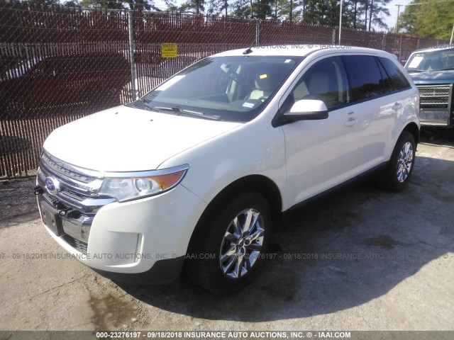 2FMDK3JC2DBA58410 - 2013 FORD EDGE SEL WHITE photo 2