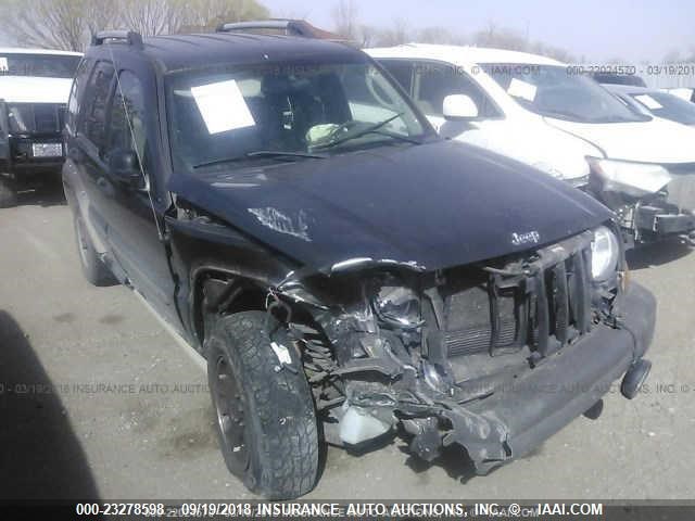 1J4GL38K75W723792 - 2005 JEEP LIBERTY RENEGADE Pewter photo 1