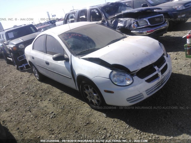 1B3ES26CX5D109564 - 2005 DODGE NEON SE WHITE photo 1