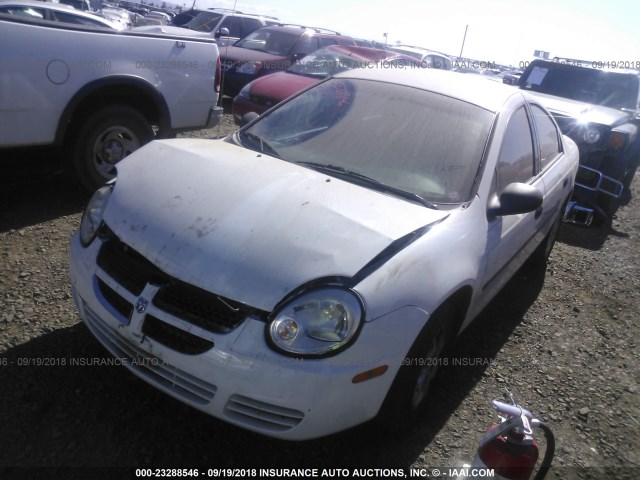 1B3ES26CX5D109564 - 2005 DODGE NEON SE WHITE photo 2