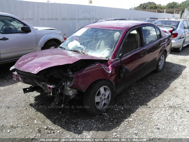 1G1ZT52825F279768 - 2005 CHEVROLET MALIBU LS 红色 照片 2