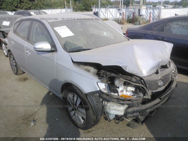 KNAFU5A29D5688100 - 2013 KIA FORTE EX SILVER photo 1