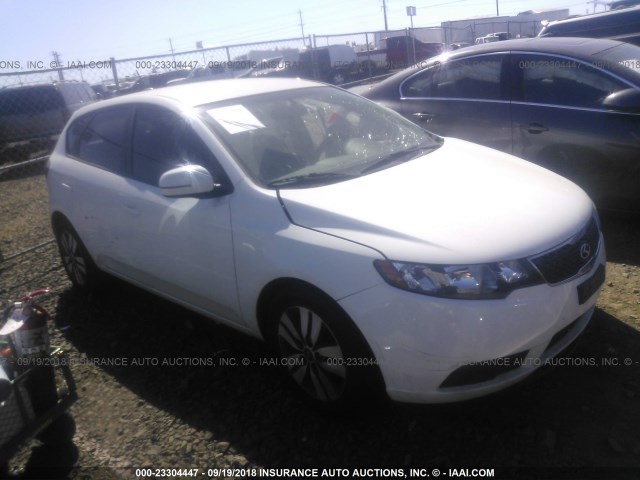 KNAFU5A28D5742082 - 2013 KIA FORTE EX WHITE photo 1