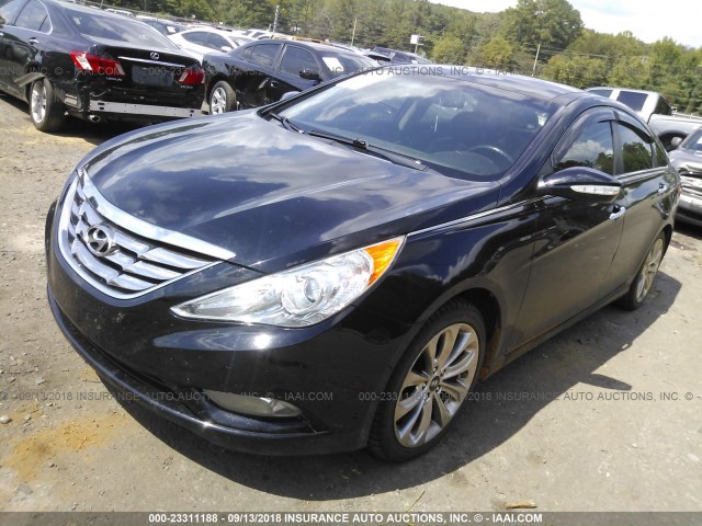 5NPEC4ABXDH554675 - 2013 HYUNDAI SONATA SE/LIMITED BLACK photo 2