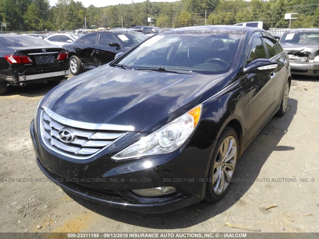 5NPEC4ABXDH554675 - 2013 HYUNDAI SONATA SE/LIMITED BLACK photo 6