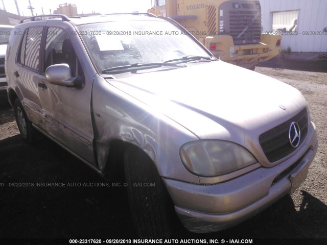 4JGAB54E41A240693 - 2001 MERCEDES-BENZ ML 320 GOLD photo 1