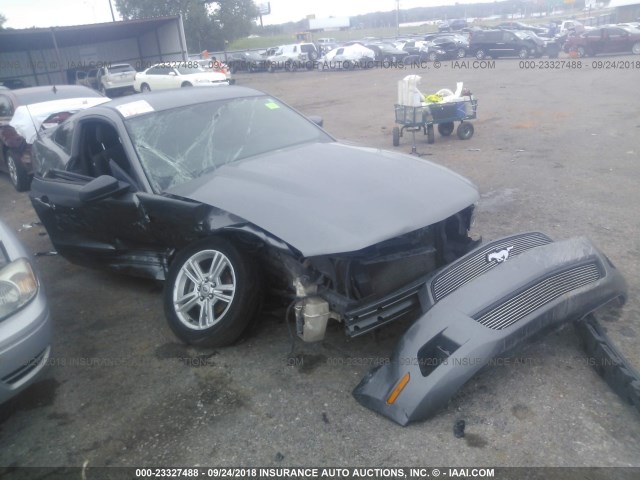 1ZVBP8AN0A5153847 - 2010 FORD MUSTANG GRAY photo 1