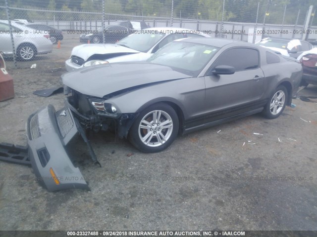 1ZVBP8AN0A5153847 - 2010 FORD MUSTANG GRAY photo 2