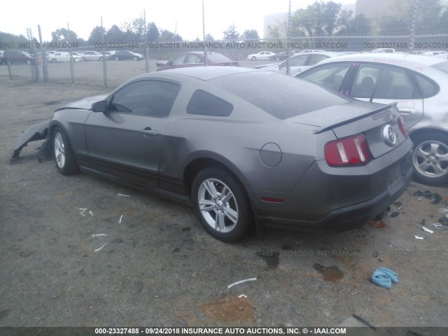 1ZVBP8AN0A5153847 - 2010 FORD MUSTANG GRAY photo 3