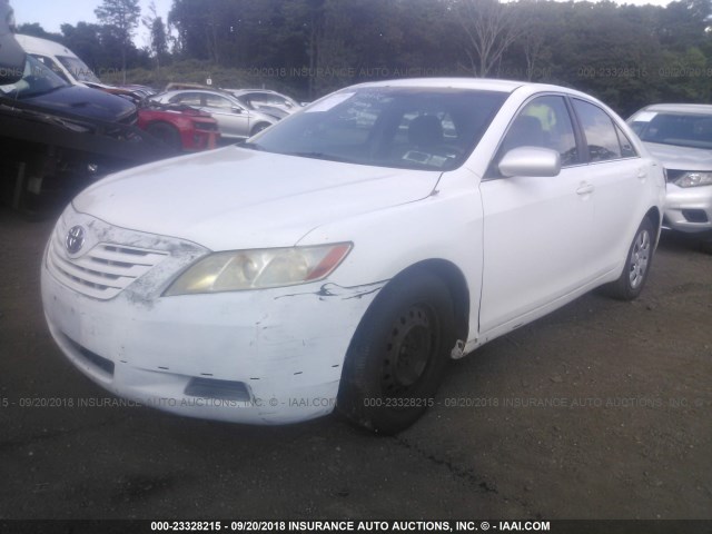 4T1BE46K49U850841 - 2009 TOYOTA CAMRY SE/LE/XLE WHITE photo 2