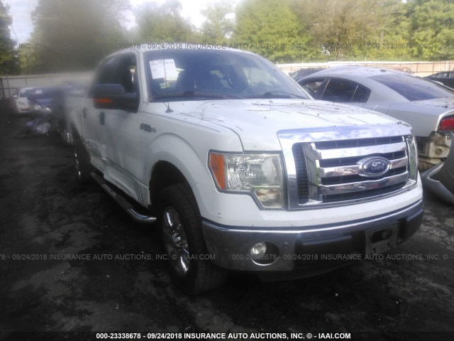 1FTFW1CF4CFD08028 - 2012 FORD F150 SUPERCREW WHITE photo 1