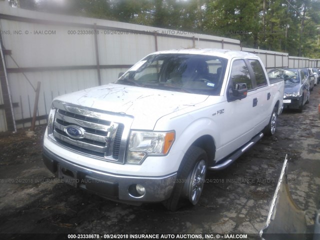 1FTFW1CF4CFD08028 - 2012 FORD F150 SUPERCREW WHITE photo 2