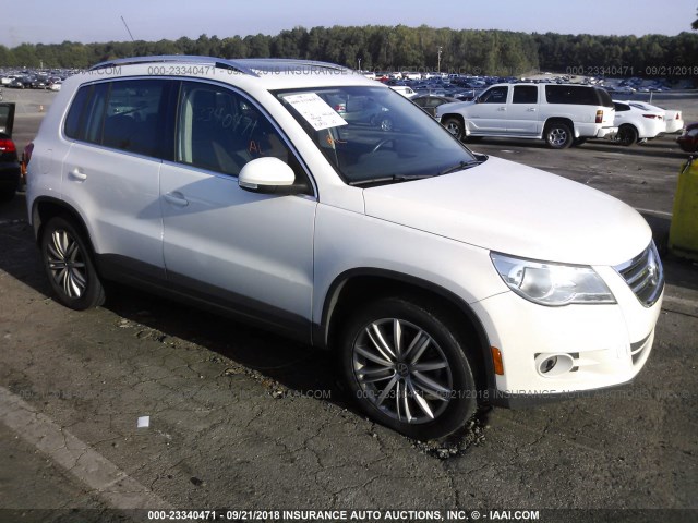 WVGBV75N19W526392 - 2009 VOLKSWAGEN TIGUAN SE/SEL WHITE photo 1