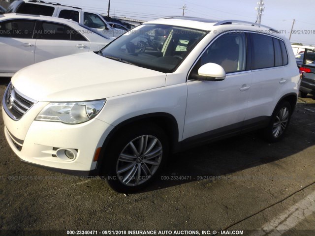 WVGBV75N19W526392 - 2009 VOLKSWAGEN TIGUAN SE/SEL WHITE photo 2