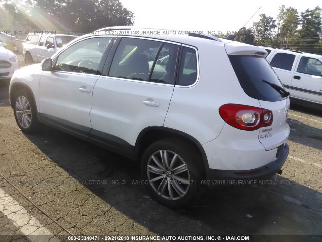 WVGBV75N19W526392 - 2009 VOLKSWAGEN TIGUAN SE/SEL WHITE photo 3