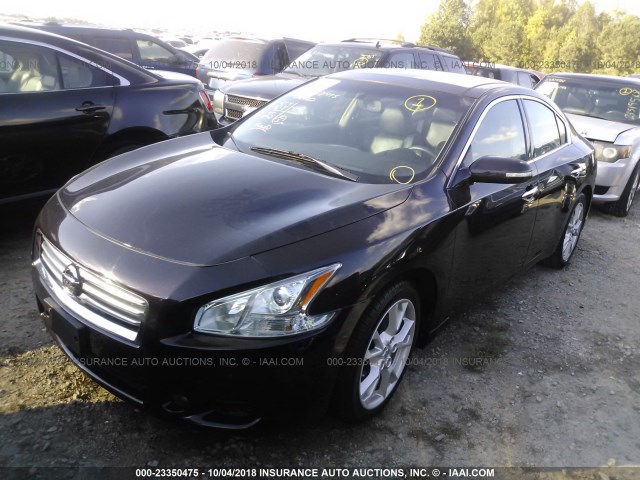 1N4AA5AP1EC468583 - 2014 NISSAN MAXIMA S/SV BLACK photo 2