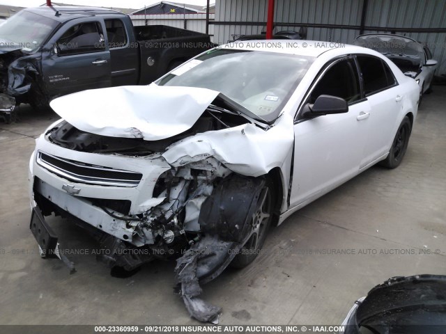 1G1ZA5E09AF173114 - 2010 CHEVROLET MALIBU LS თეთრი ფოტო 2