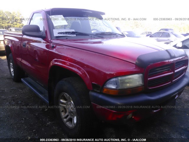 1B7GG36X52S500257 - 2002 DODGE DAKOTA SPORT/RT RED photo 6