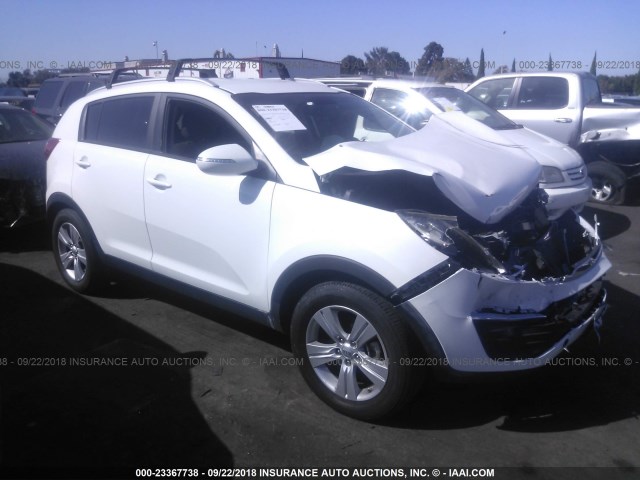 KNDPB3A28D7402114 - 2013 KIA SPORTAGE LX 白色 照片 1