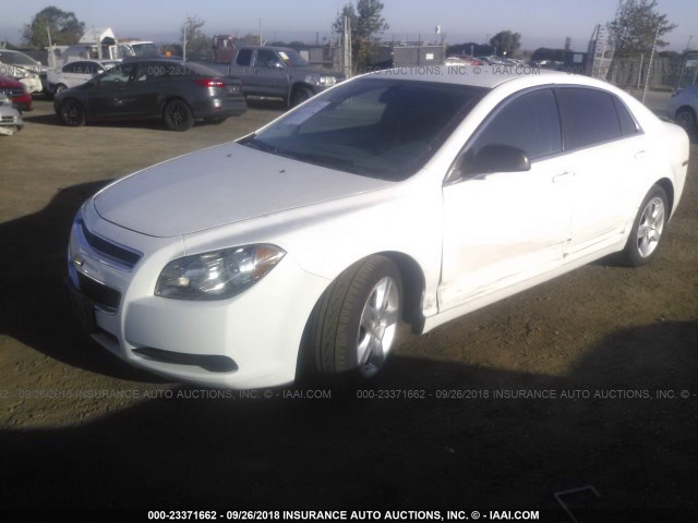 1G1ZA5EU3CF352898 - 2012 CHEVROLET MALIBU LS WHITE photo 2