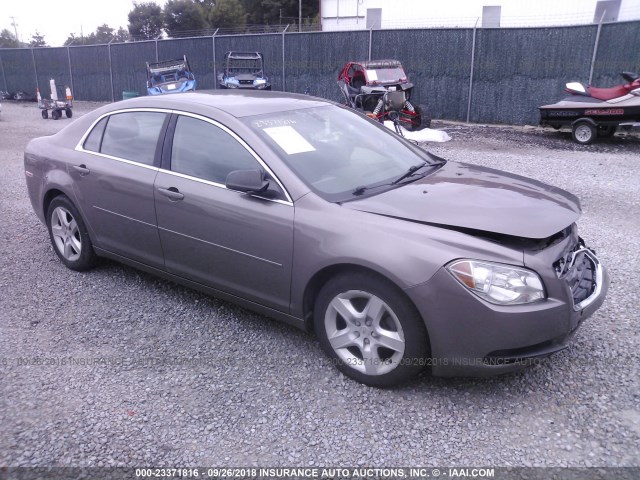 1G1ZB5E16BF242302 - 2011 CHEVROLET MALIBU LS 棕色 照片 1