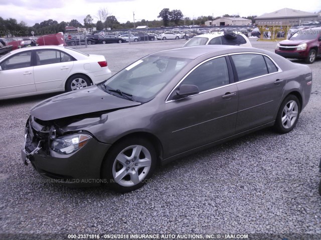 1G1ZB5E16BF242302 - 2011 CHEVROLET MALIBU LS 棕色 照片 2
