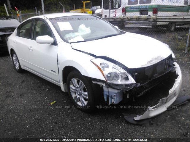 1N4CL2AP9BC185183 - 2011 NISSAN ALTIMA HYBRID WHITE photo 1