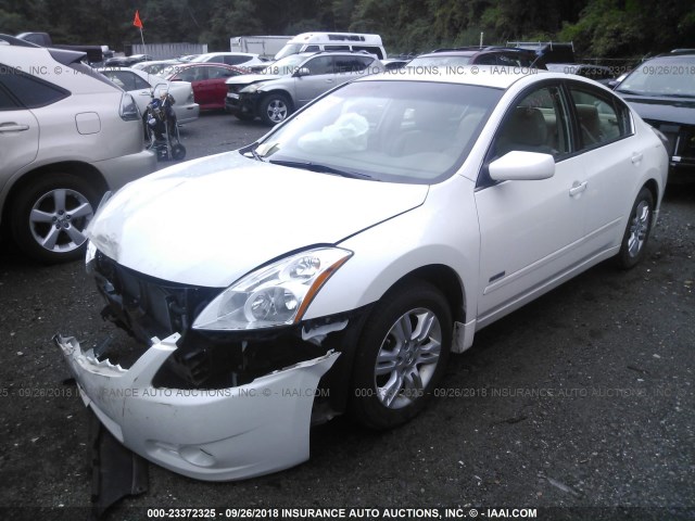 1N4CL2AP9BC185183 - 2011 NISSAN ALTIMA HYBRID WHITE photo 2