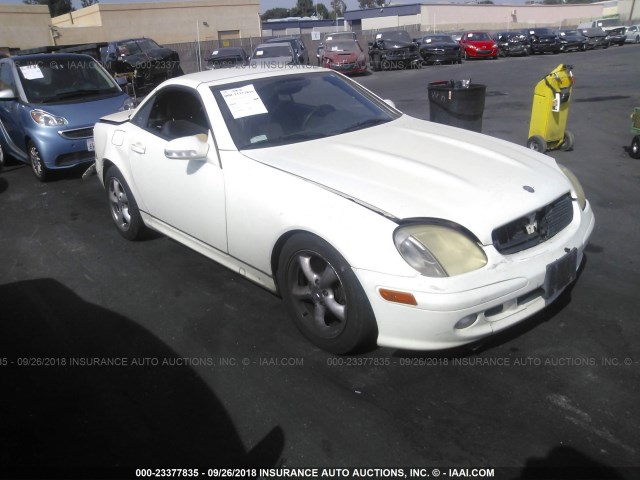 WDBKK65F34F298970 - 2004 MERCEDES-BENZ SLK 320 WHITE photo 1