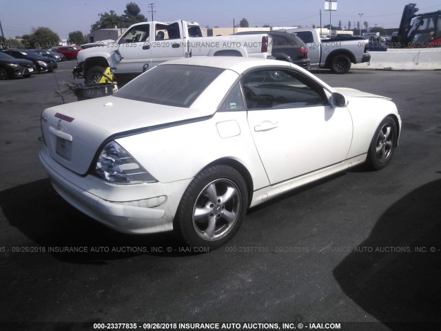 WDBKK65F34F298970 - 2004 MERCEDES-BENZ SLK 320 WHITE photo 4