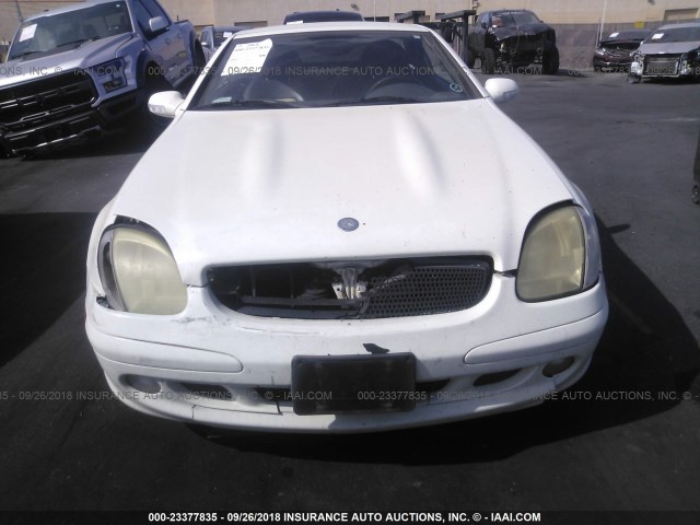 WDBKK65F34F298970 - 2004 MERCEDES-BENZ SLK 320 WHITE photo 6