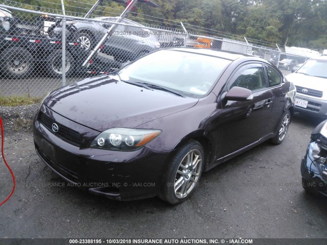 JTKDE3B76A0313465 - 2010 TOYOTA SCION TC 紫色 照片 2