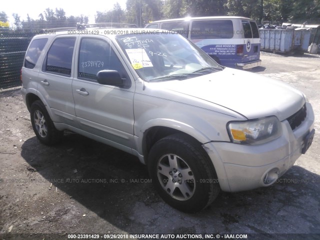 1FMYU94145KA35890 - 2005 FORD ESCAPE LIMITED SILVER photo 1