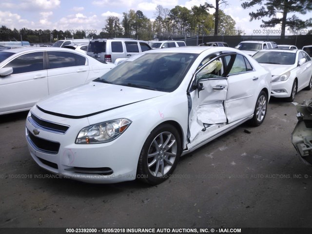 1G1ZD5EU2CF348588 - 2012 CHEVROLET MALIBU 2LT WHITE photo 2